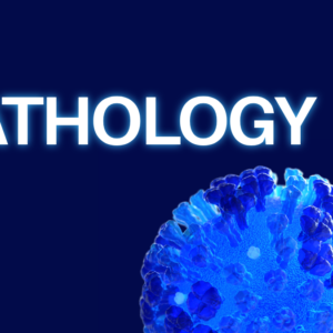 3rd prof: pathology