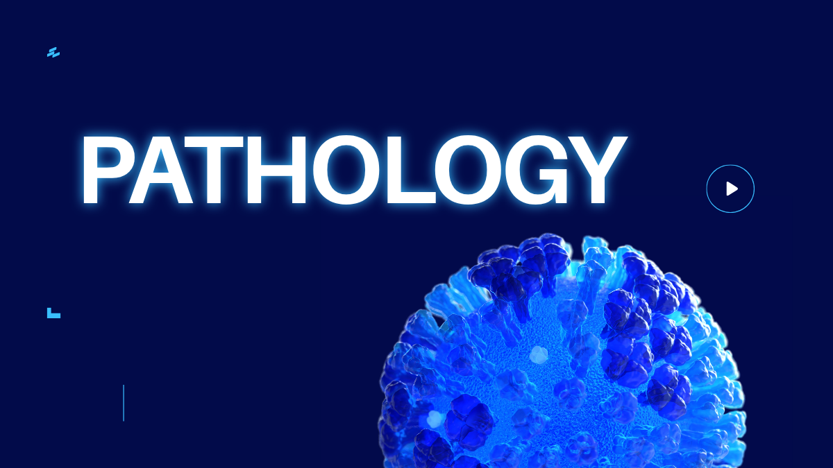 3rd prof: pathology